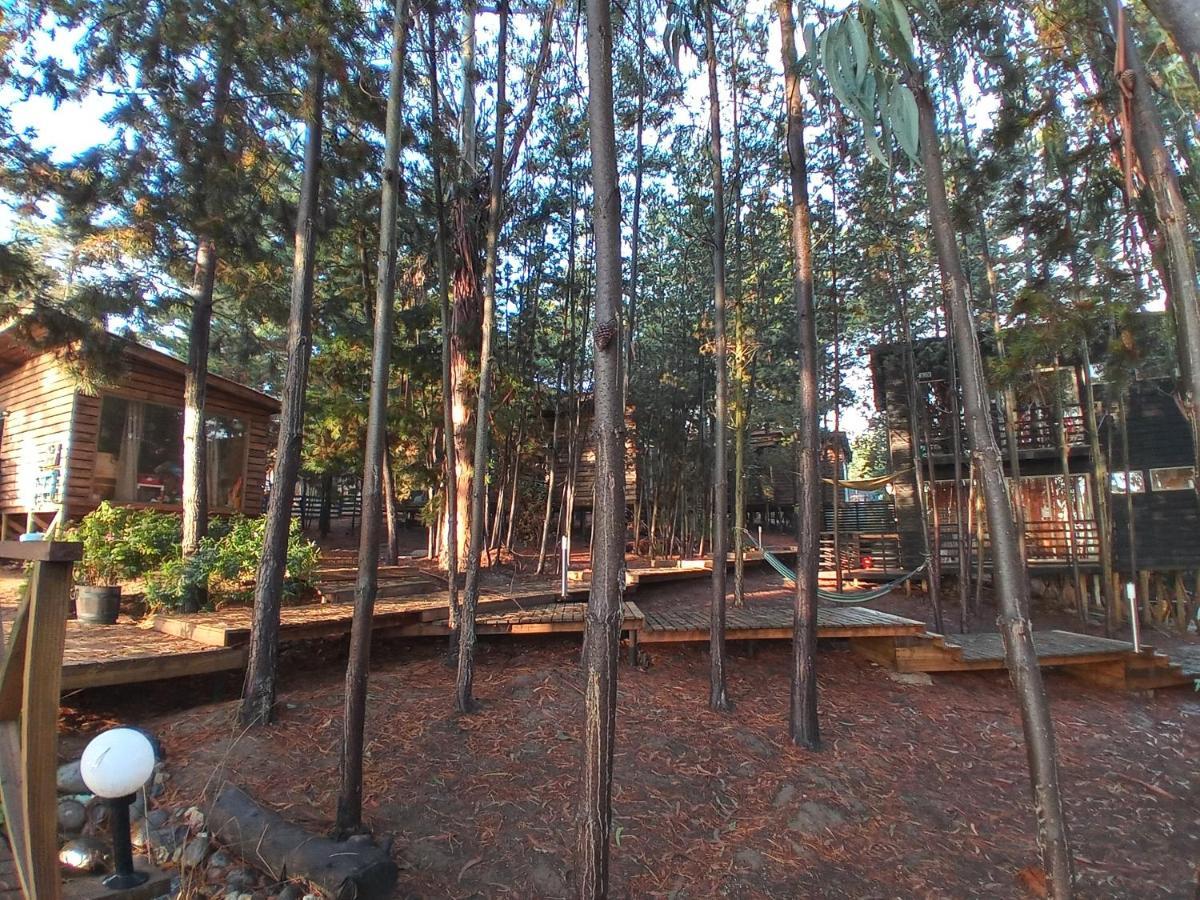 Lodge Terra Mar Pichilemu Buitenkant foto